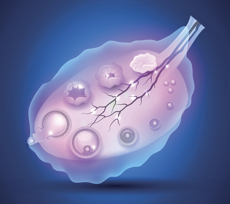 试管助孕一促一移成功,成功率揭秘如何实现快速怀孕,成为幸福妈妈？